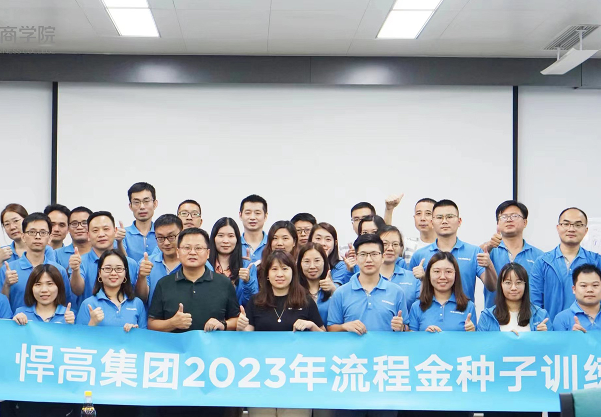 推进流程金种子项目，强化效率为王、结果导向的执行观